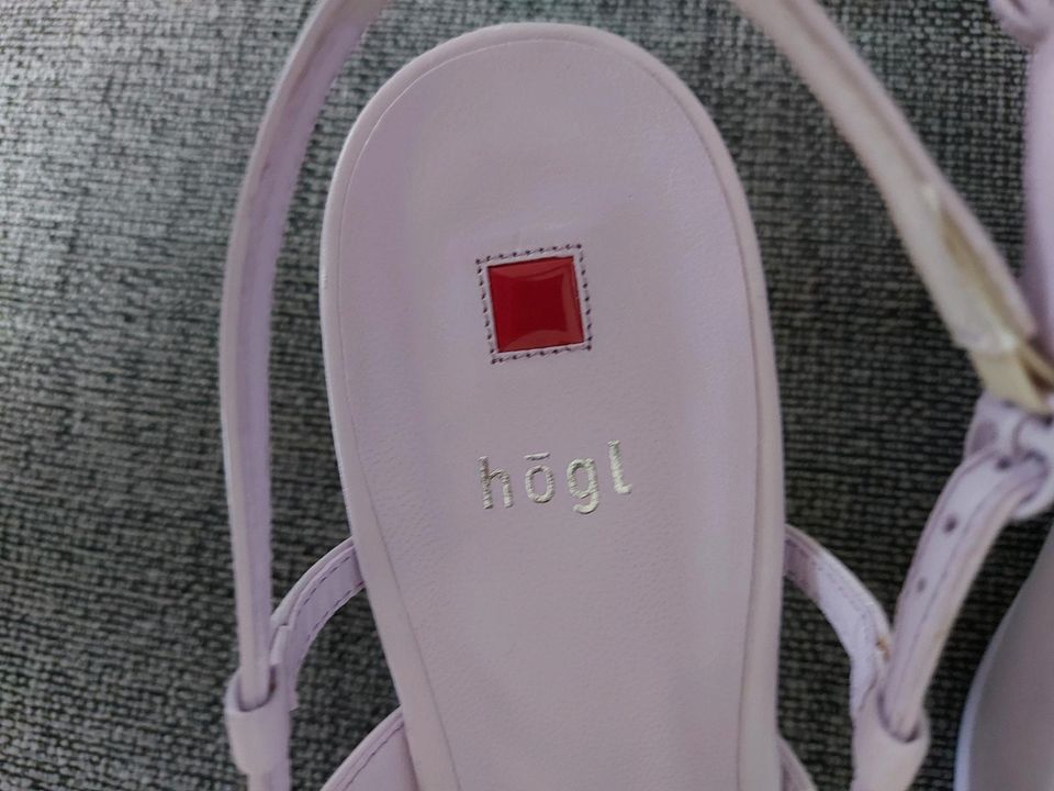 Högl Kitten Heels in Violett Gr. 41, 1x getragen in Glinde