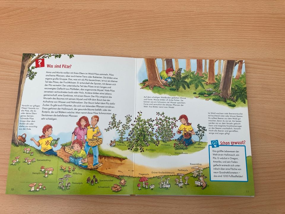 Was ist Was - Buch - Im Wald in Stemwede