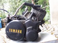 Yamaha DT 125 LC - 10V Motor, Zweitakt, Membran, Komplettmotor Sachsen - Thum Vorschau