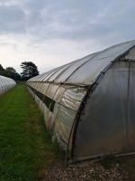 Folientunnel Nordrhein-Westfalen - Jüchen Vorschau