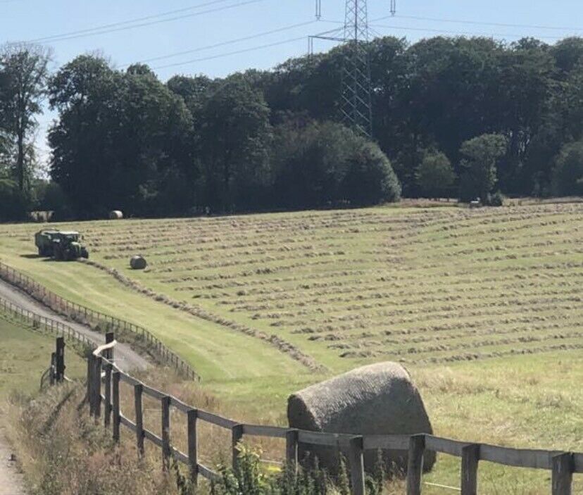 Pferdeheu Heu Heurundballen aus der Region mit Liebe produziert! in Gevelsberg