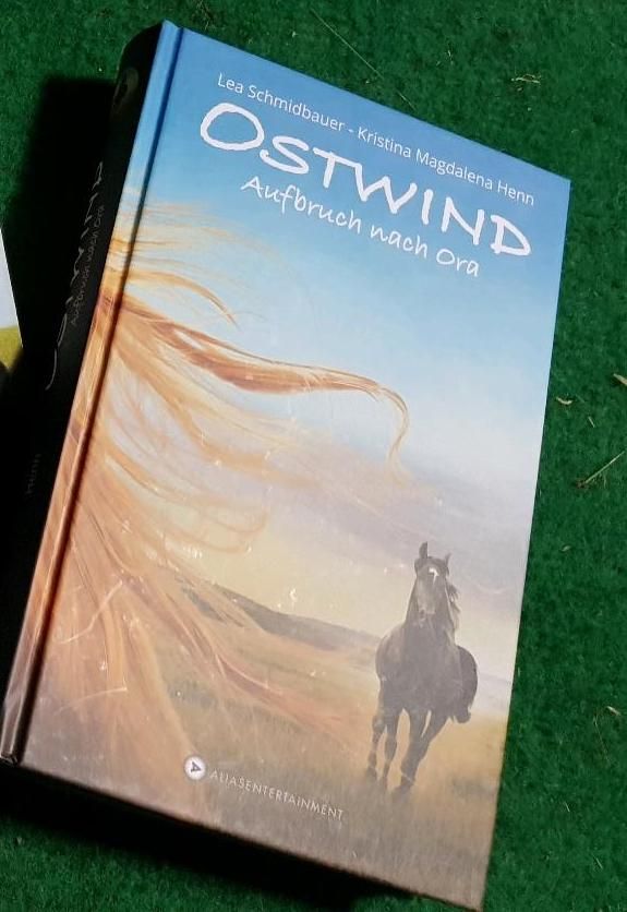 Ostwind - alle 3 Pferdebücher 10€ Jugendbuch Kinderbuch Pferde in Freital