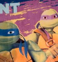 Tolles Badetuch Ninja Turtles, Größe 130x70cm, top Zustand Rheinland-Pfalz - Ludwigshafen Vorschau