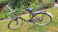 Batavus Flying Dutchman Hollandrad Fahrrad Damenrad Damenfahrrad Nordrhein-Westfalen - Horstmar Vorschau