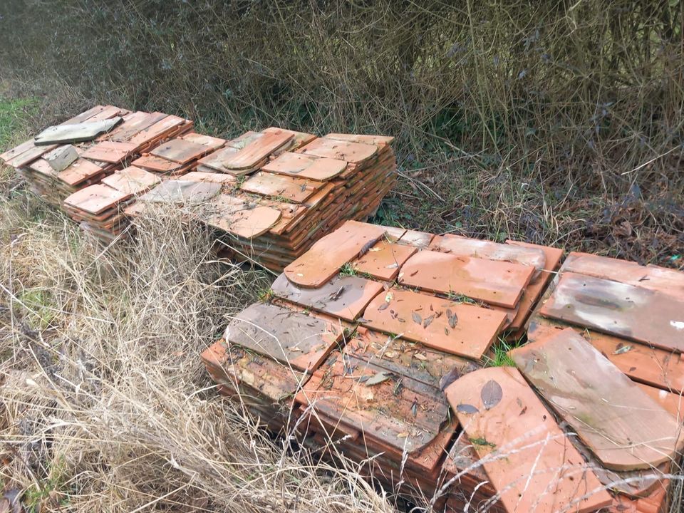 Bieberschwanz Ziegeln ca. 7 Paletten in Kirchheimbolanden