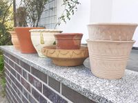 Ton / Terracotta Übertöpfe & Pflanzkübel Übertopf innen & außen Brandenburg - Cottbus Vorschau