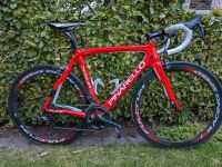 Pinarello Dogma 65.1 Think 2 Rennrad RH 53 Nordrhein-Westfalen - Heek Vorschau