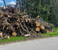 Hackschnitzel Hackgut Brennholz Bayern - Breitbrunn am Chiemsee Vorschau