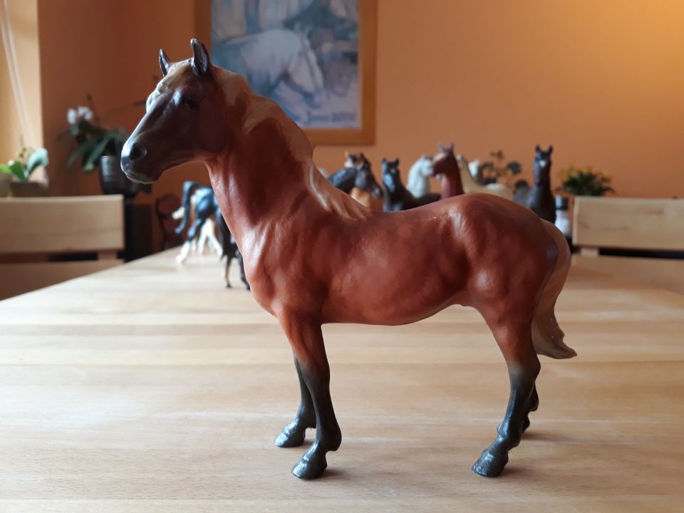 Breyer Pferd Classic ab 5 € Sammlungsauflösung in Seefeld