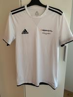 T-Shirt Kurzarmälige Shirt Gr. S Adidas Climalite Sachsen - Görlitz Vorschau