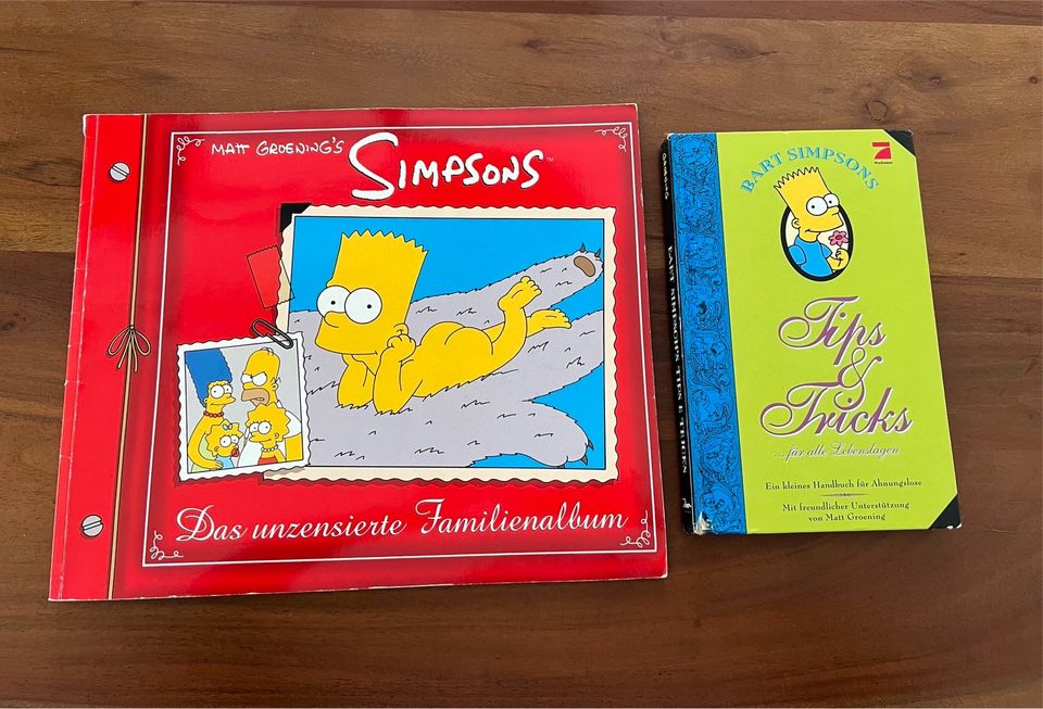 Simpsons Fanartikel Bücher in Düsseldorf