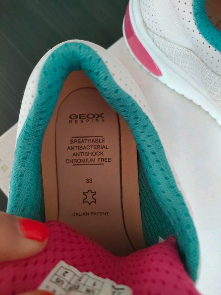 MEGA Sneakers von GEOX - Nagelneu! in Lübbecke 