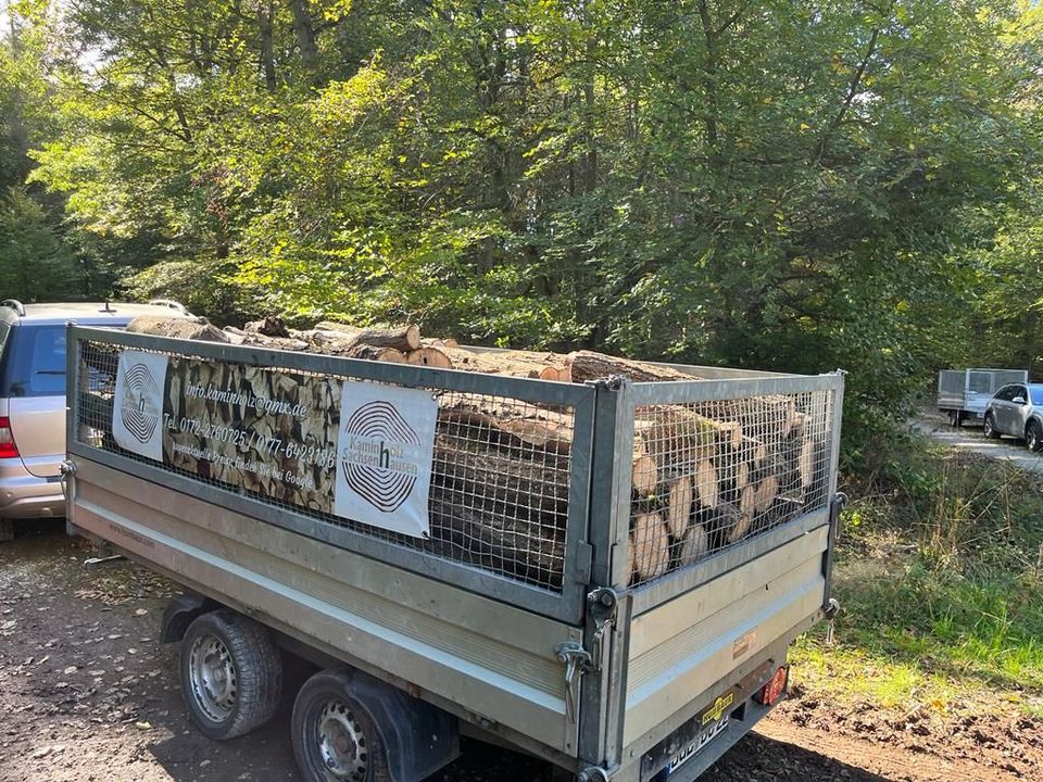 Kaminholz Brennholz Buche Laubholz Nadelholz in Aldenhoven