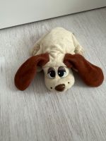 Pound puppies Hannover - Vahrenwald-List Vorschau