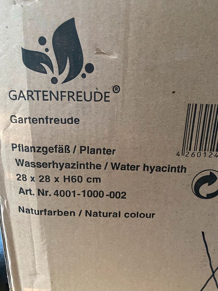 Pflanzgefäss-Wasserhyazinte- Farbe Natur in Willich