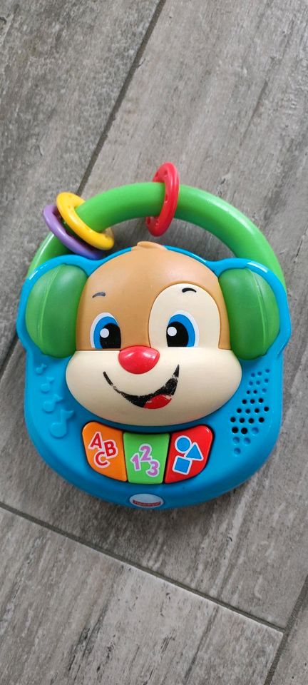 Fisher price Musikspielzeug in Teublitz