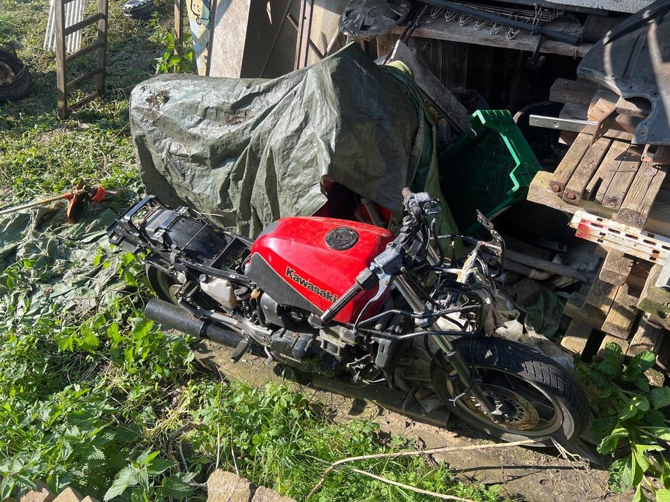 2x Kawasaki GPZ 900R Gartenfund in Moringen