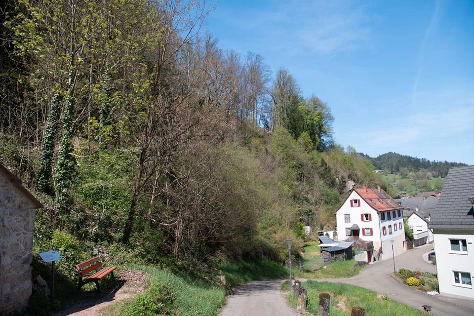 Unbebautes Grundstück angrenzend an Wohnsiedlung in Schiltach