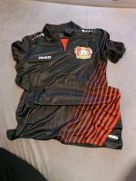 Bayer Leverkusen Trikot/ Kurzarmshirt Größe S Nordrhein-Westfalen - Morsbach Vorschau