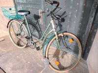 Damenrad Oldtimer Fahrrad Münster (Westfalen) - Geist Vorschau