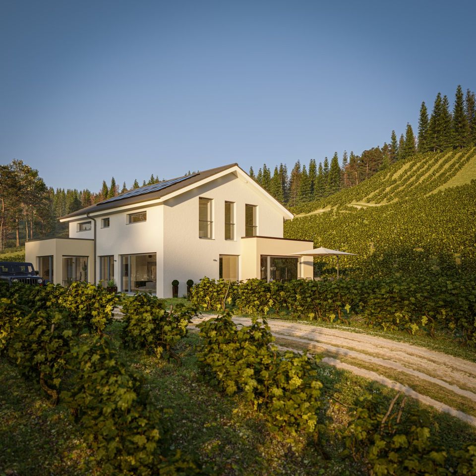 Traumhaus mit Keller und Grundstück in Kalbach