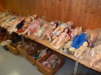 1250 antike Puppen 100 Alte Bären Steiff Menge Blech Spielzeug Sachsen - Naundorf bei Oschatz Vorschau