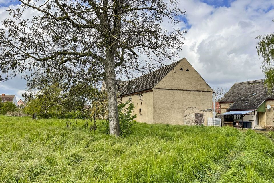 Wer Platz benötigt, ist hier richtig: Großes Einfamilienhaus mit Scheune und ca. 6.000 m² Grundstück in Zörbig