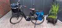 E-Bike Gazelle Arroyo C7+ HMB Elite 49cm Damenfahrrad mit Zubehör Niedersachsen - Emden Vorschau