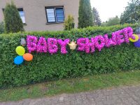 Baby party deko Meyenburg - Gerdshagen Vorschau