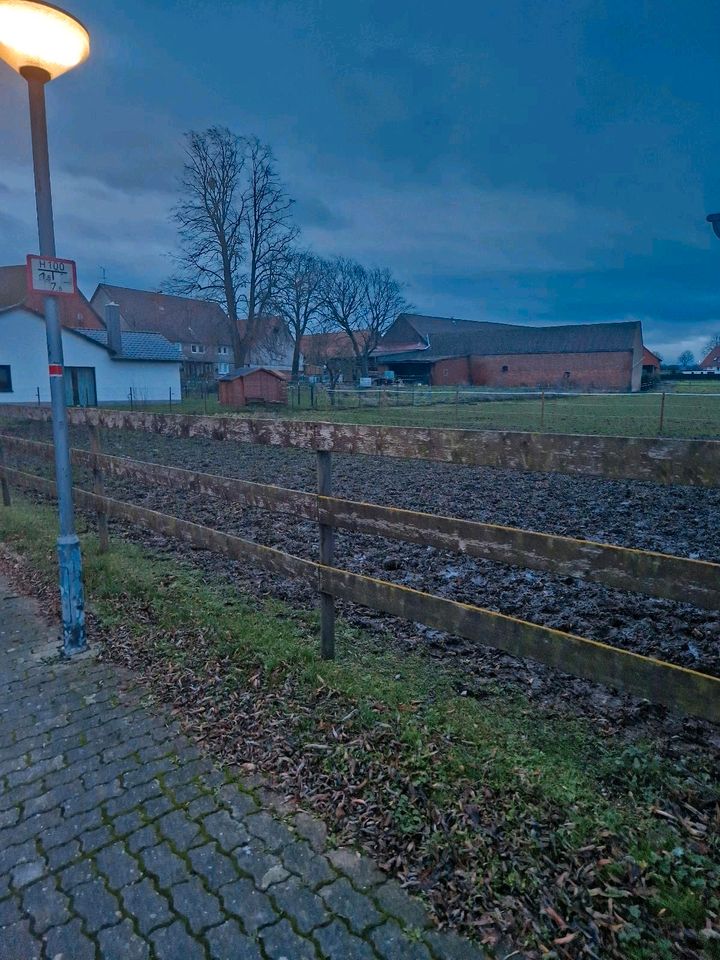 Baugrundstück Salzgitter Beinum in Salzgitter