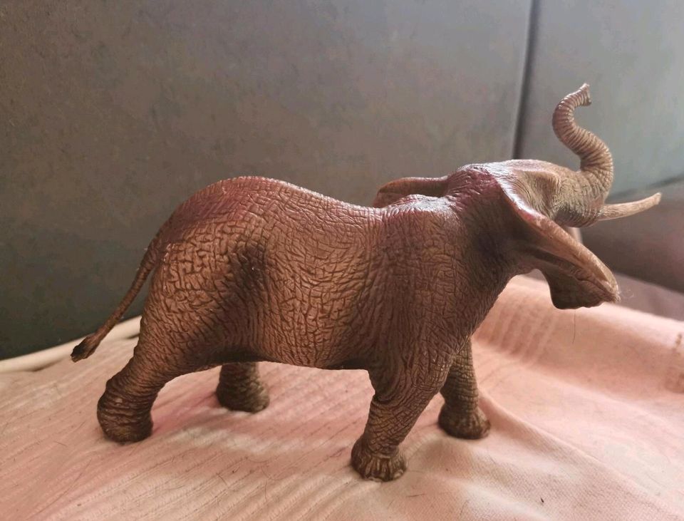 Schleich Elefant Elefantenbulle wie neu in Erfurt