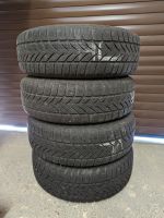 Winterräder Platin 4x 195/65R15 M+S Sachsen - Lommatzsch Vorschau