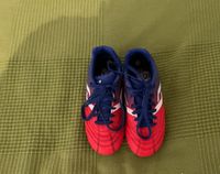 Pro Touch Fußballschuhe Größe 31 Hessen - Eltville Vorschau