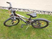 FOCUS  Raven  Rookie Kinderfahrrad  20" Baden-Württemberg - Stockach Vorschau