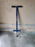 Pogo Stick QU-AX Zoom v200 Feldmoching-Hasenbergl - Feldmoching Vorschau