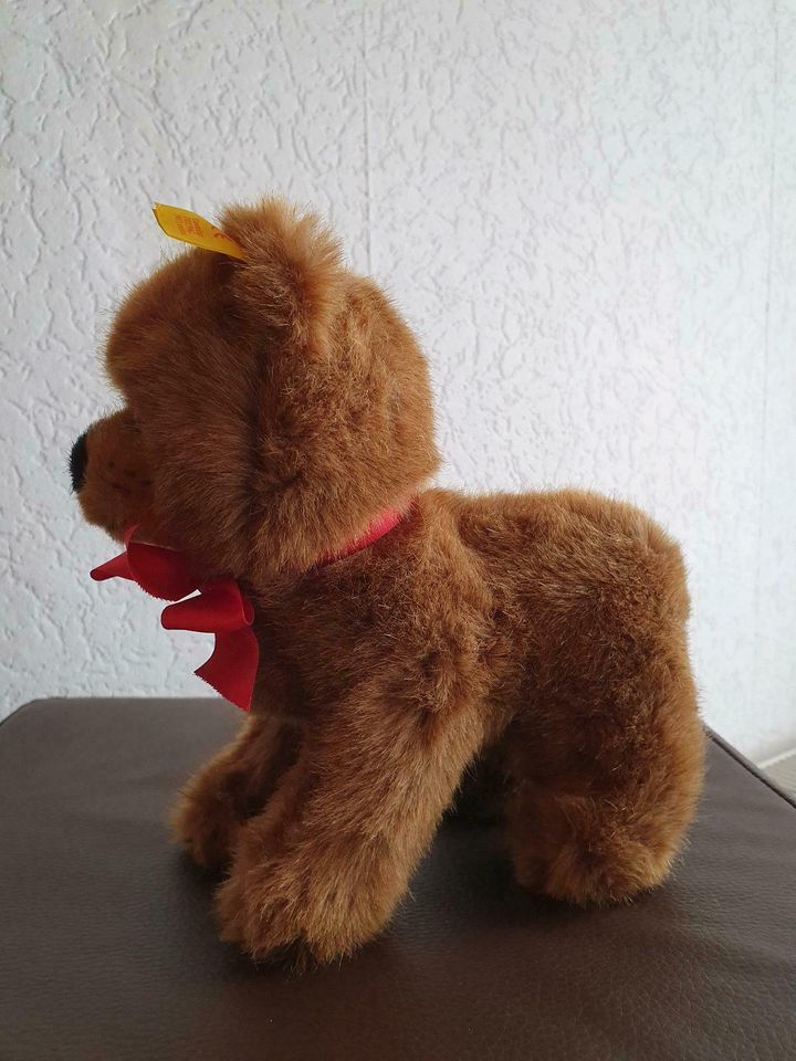 Steiff Bär "Drolly", 22 cm, selten von 1991, NEU in Rösrath