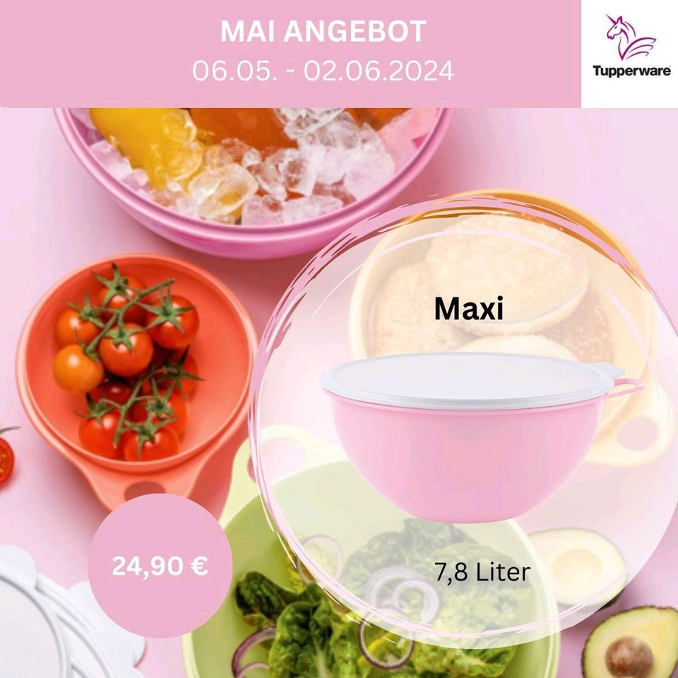 Maxi Tupperware in Stephanskirchen