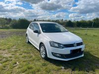 Volkswagen Polo 1.2 Style, AHK, Top gepflegt, TÜV bis 03.26 Hessen - Biblis Vorschau