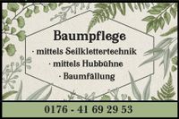 Baumpflege - auch mit Seilklettertechnik/Arbeitsbühne Leipzig - Leutzsch Vorschau