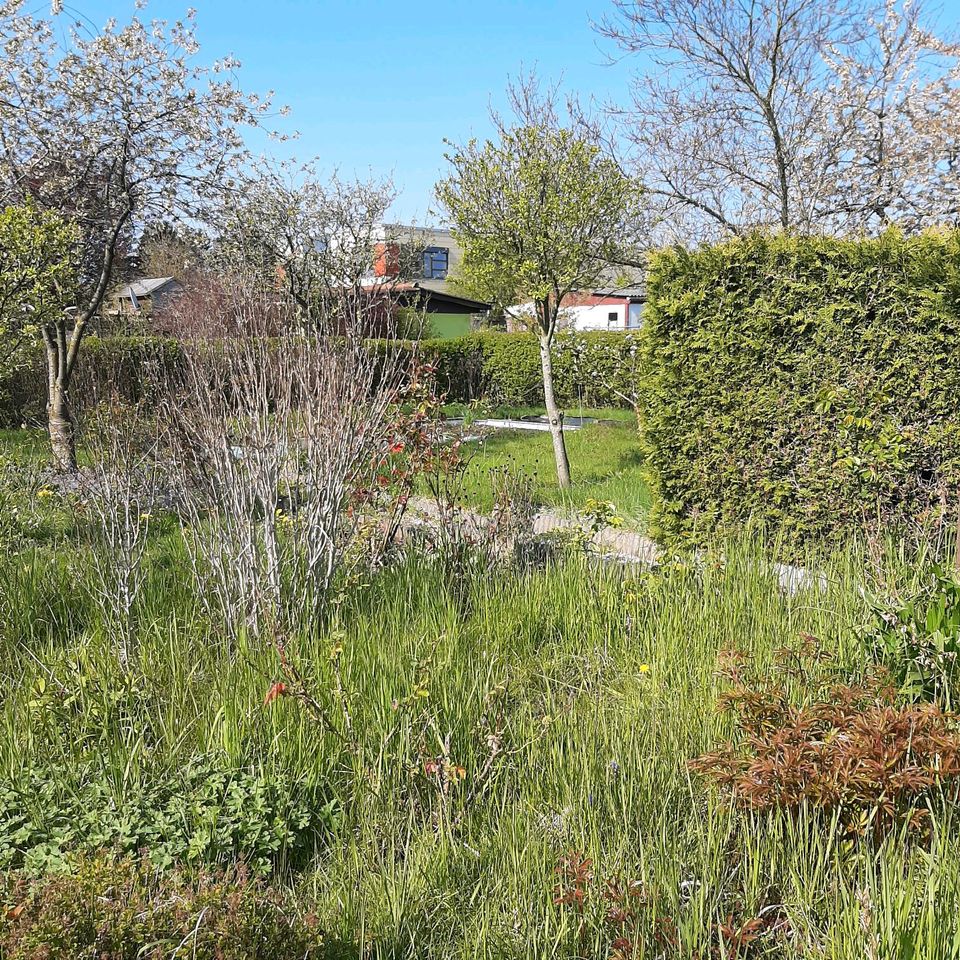 Schöner Garten mit Laube in Rövershagen nahe 0stsee in Rövershagen