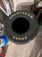 Goodyear Eagle F1 Reifen 2 Stück Essen-West - Holsterhausen Vorschau