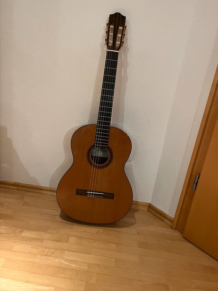 Gitarre Cordoba Iberia C5 + Gitarrentasche in Sontheim