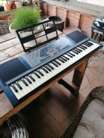 Bontempi Keyboard, 61 Profitasten Nordwestmecklenburg - Landkreis - Ventschow Vorschau