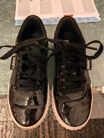 Puma Schuhe Mecklenburg-Vorpommern - Boizenburg/Elbe Vorschau