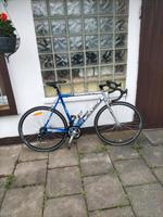 Fahrrad 28 Zoll Rennrad Essen - Essen-Borbeck Vorschau