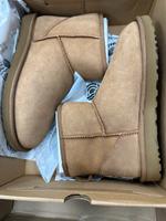 UGG Damen Mini Classic Winterstiefel Gr 38 Nagelneu Nordrhein-Westfalen - Herten Vorschau
