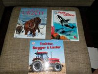 3x Wissensbücher Kinder Nordrhein-Westfalen - Löhne Vorschau