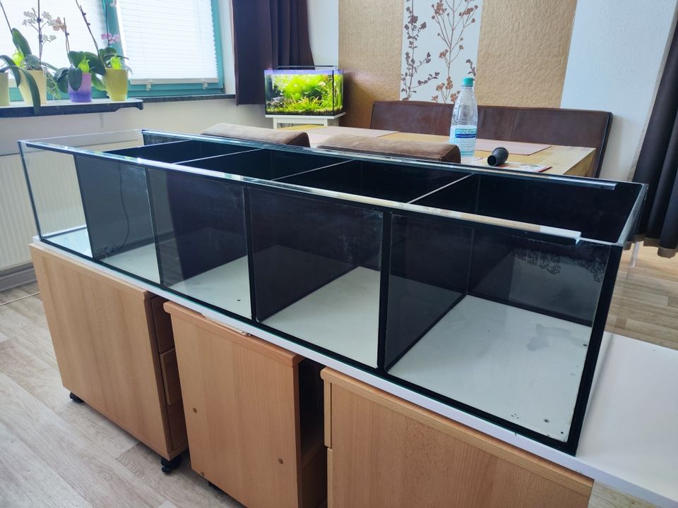 Aquarium Kampffisch 150 x 40 x 30 mit 5 Kammern in Machern