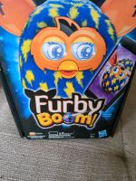 Furby boom Niedersachsen - Nienburg (Weser) Vorschau