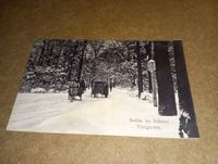 Berlin Tiergarten im Schnee Pferdekutsche Postkarte um 1915 Kreis Pinneberg - Elmshorn Vorschau